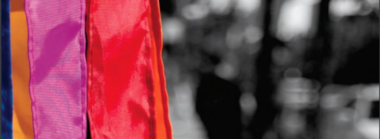 Rainbow Response: A practical guide to resettling LGBT refugees and asylees