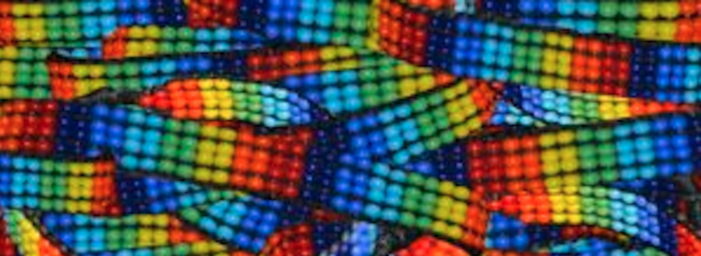 LBQ women and the need for specified activism in Kenya