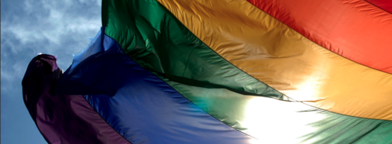 LGBTIQ+ Inclusion in Humanitarian Action: LGBTIQ+ vulnerabilities and capabilities in crises